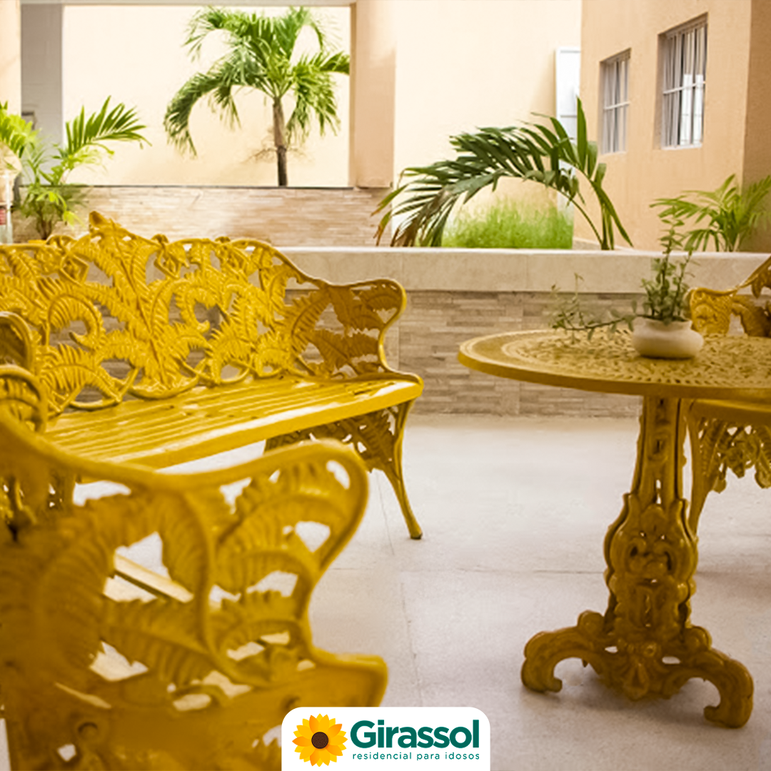 girassol-05 (1)