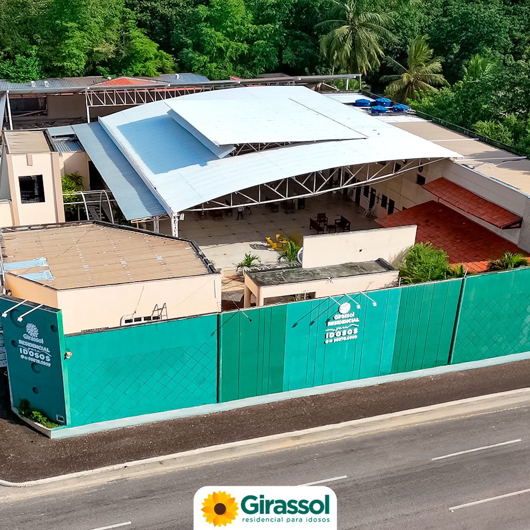 girassol-12