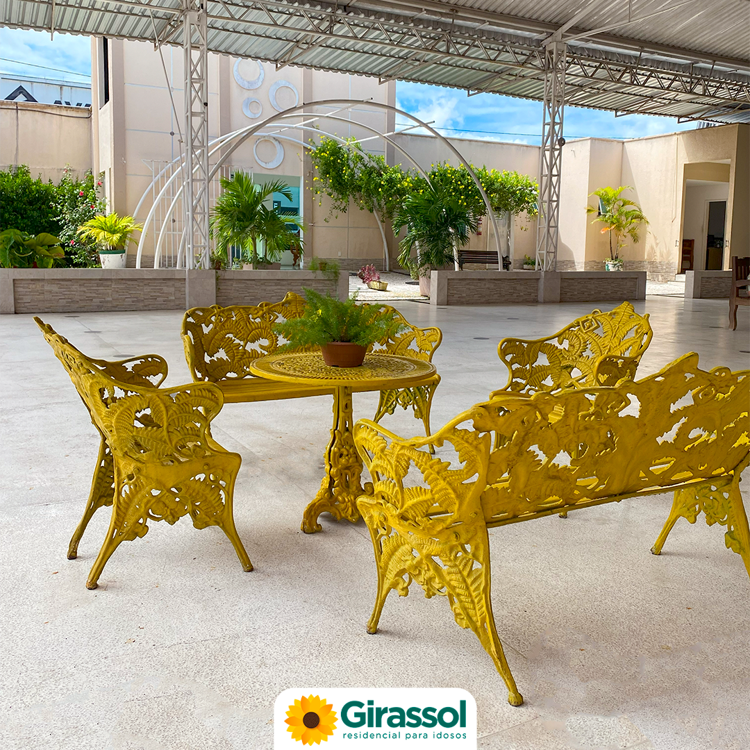 girassol-13